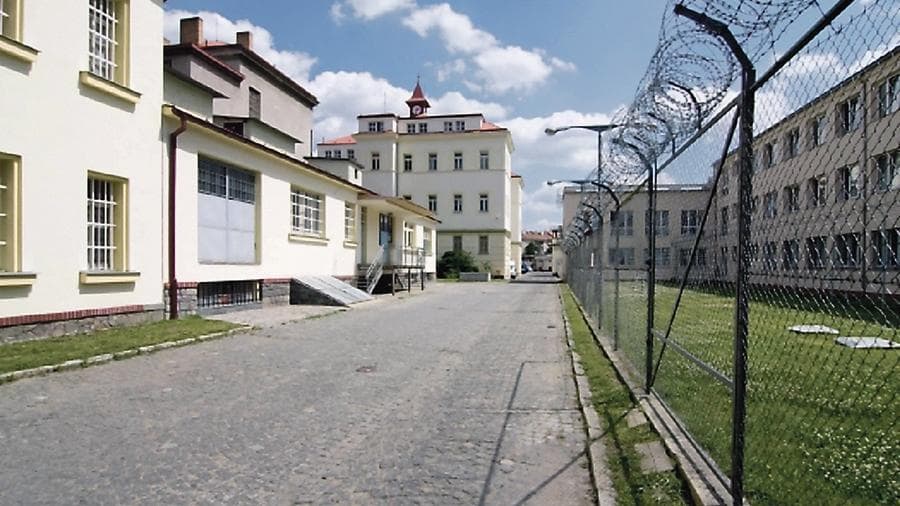 Экстрадицию Никулина поставили на паузу